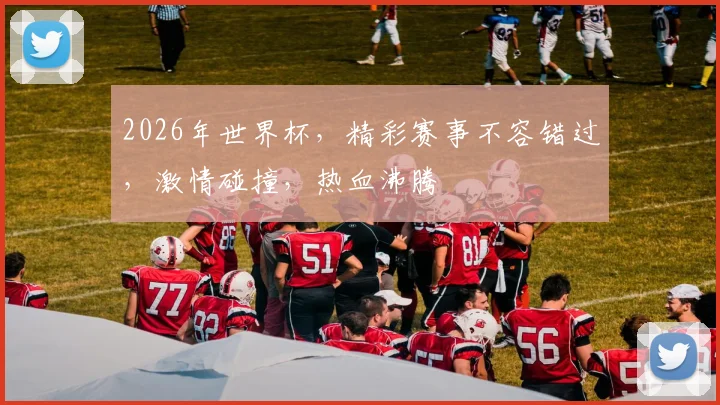 2026年世界杯，精彩赛事不容错过，激情碰撞，热血沸腾