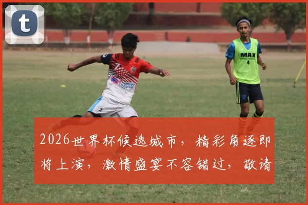 2026世界杯候选城市，精彩角逐即将上演，激情盛宴不容错过，敬请期待